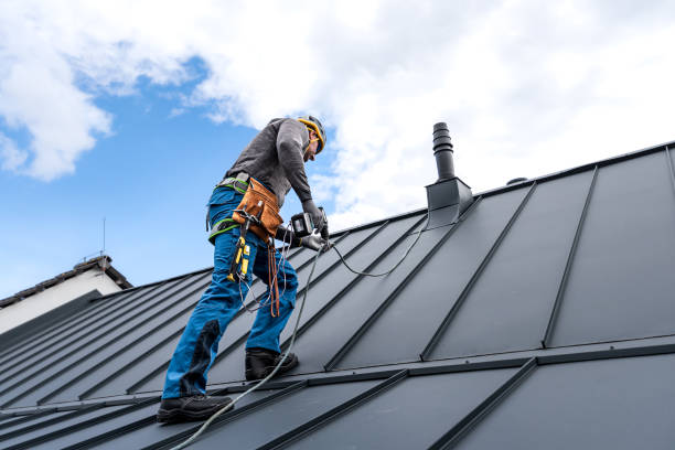 Best Skylight Installation and Repair  in Albertson, NY